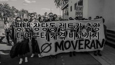 평택 장당동 렌트카: 출장 대여부터 가격 비교까지!