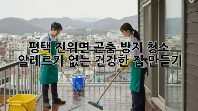 평택 진위면 곤충 방지 청소: 알레르기 없는 건강한 집 만들기