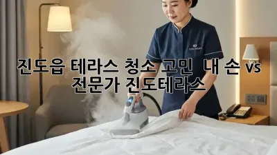 진도읍 테라스 청소 고민? 🤔 내 손 vs 전문가! #진도테라스